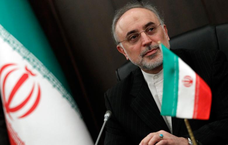 ali akbar salehi