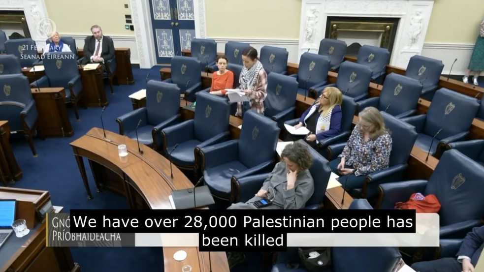 senado-irlanda-sanciones-israel