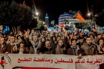 manifestacion-pro-palestina-marruecos