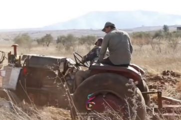 agricultores-sur-libano