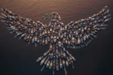 paloma-paz-barcos-flotilla